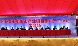 衡阳热点爆料事件最新,最新事件引发社会热议，真相究竟如何？